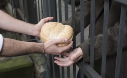 Lettera di Fassino agli Asili Notturni, grazie per il lavoro che svolgete ogni sera e ogni giorno