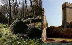 Tornata rituale al Bosco di Isabella di Radicofani