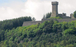 Convegno sul Bosco Isabella