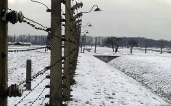 27 gennaio, Shoah e il dovere della memoria