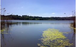 Sicilia. Celebrato il Solstizio sul lago di Pergusa