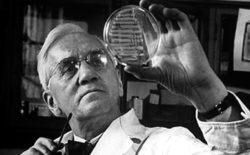 Massoni da Nobel. Alexander Fleming, il padre della penicillina, era un libero muratore. La sua scoperta  ha contribuito a salvare milioni di vite