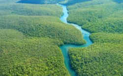 La caduta del cielo. Il racconto di uno sciamano, portavoce dell’Amazzonia brasiliana