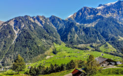 Saggi. “Pensare come una montagna” di Aldo Leopold