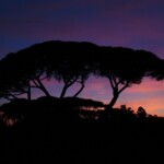 XX Settembre 2018. L'allocuzione del Gran Maestro